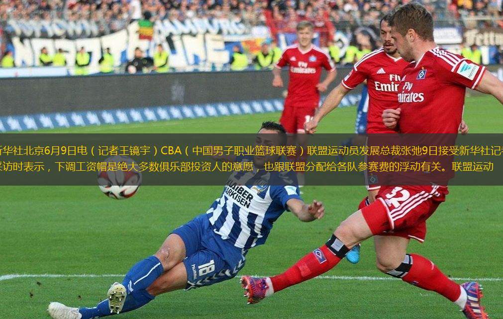 感纽带更是